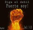 /album/galeria-de-fotos-pagina-inicial/a970622-628190473871518-1804625575-n-jpg/